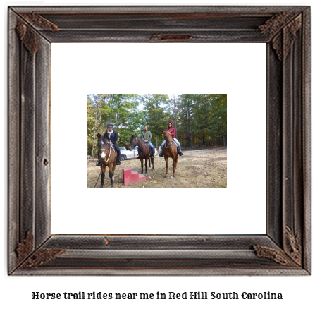 horse trail rides near me in Red Hill, South Carolina